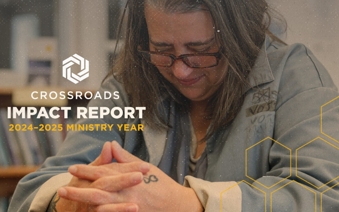 ImpactReportFY24 25 Banner (1)